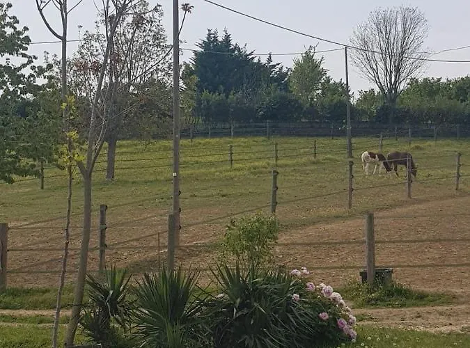 ファームステイ Azienda Agricola Cascina Monticone Ferrere